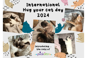 Fira National Hug Your Cat Day med Puckator 