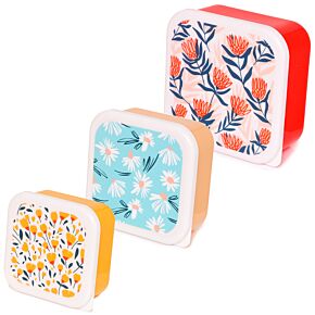 3-Pack Lunchlådor S/M/L - Daisy Lane, Protea och Smörblomma Pick of the Bunch