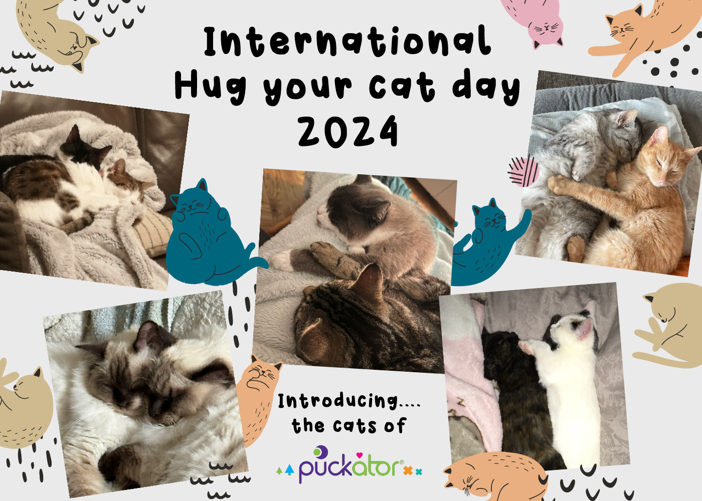 Fira National Hug Your Cat Day med Puckator 